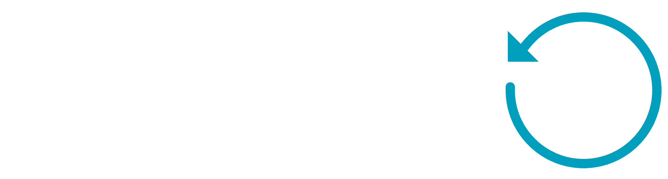 Sydney Bus Company Logo
